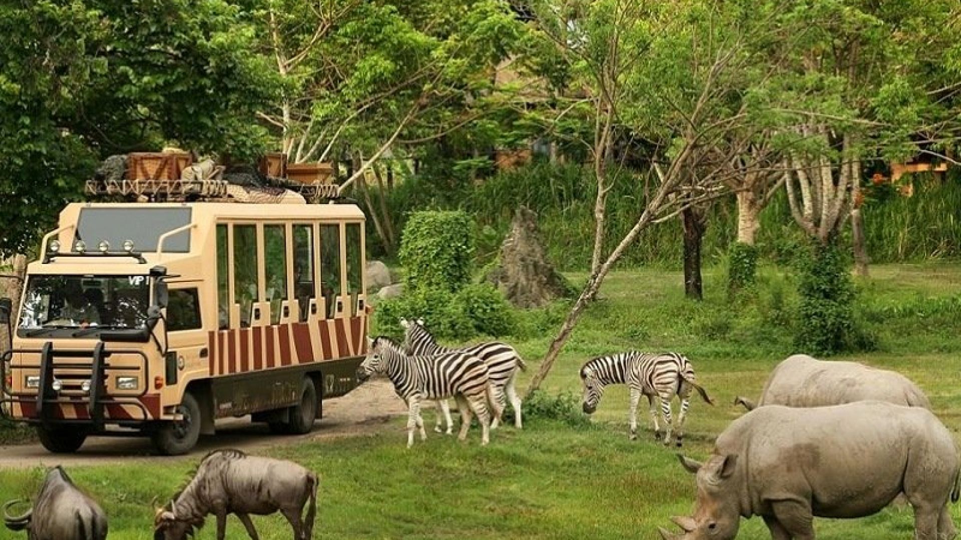 how big is safari world bangkok