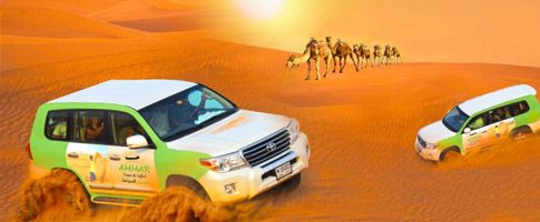 ✈️ BUGUN BIZDA SOTUVDA 😍⤵️ 🕋Umra safari 1350$ 🌴 DUBAI 324